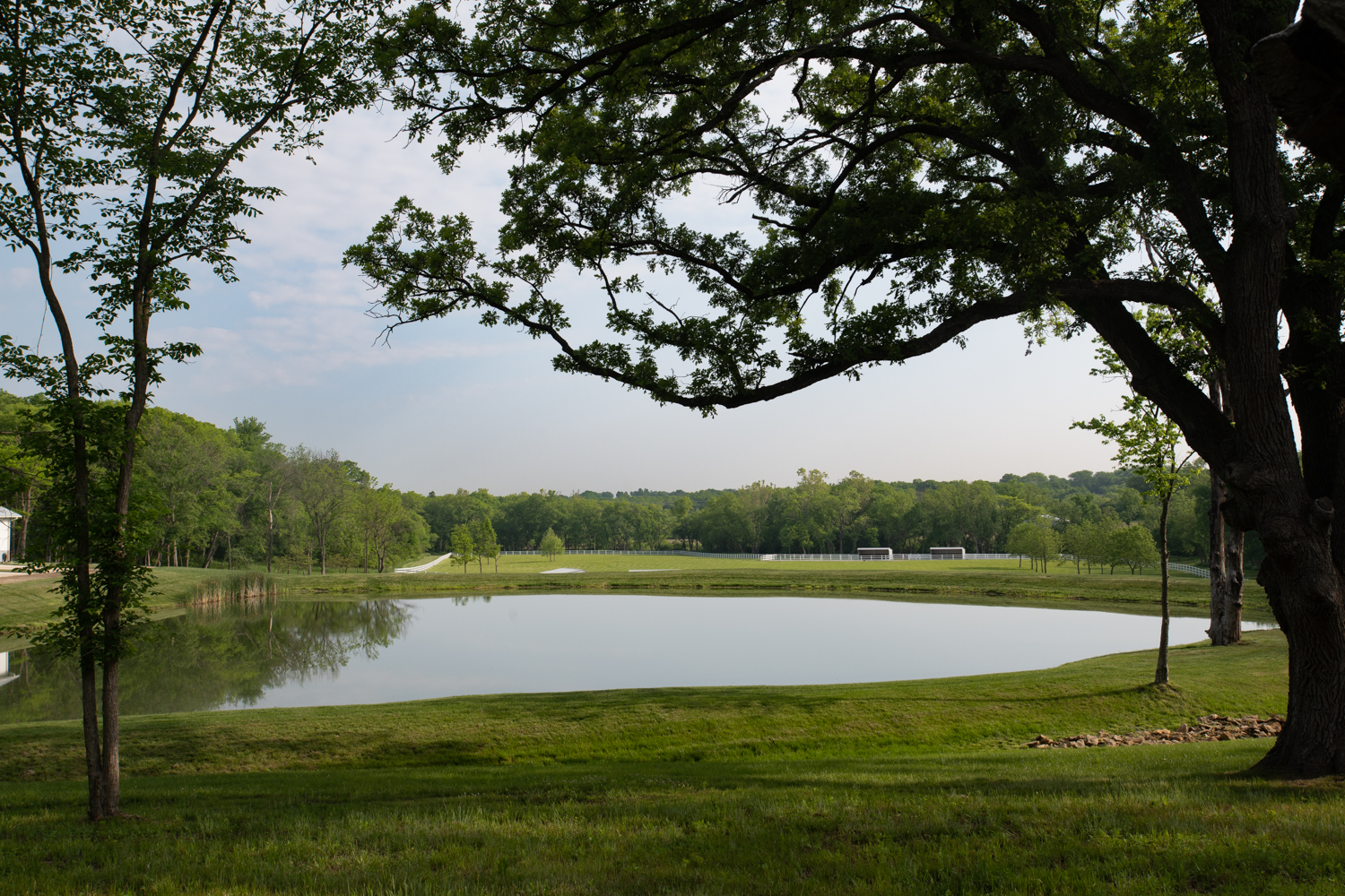 Pond at Hidden Timber Farm horse pasture boarding